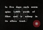 Image of Silk Production in Japan Japan, 1934, second 58 stock footage video 65675025112
