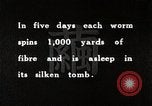 Image of Silk Production in Japan Japan, 1934, second 59 stock footage video 65675025112