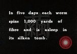 Image of Silk Production in Japan Japan, 1934, second 60 stock footage video 65675025112