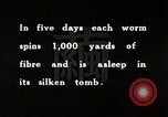 Image of Silk Production in Japan Japan, 1934, second 61 stock footage video 65675025112