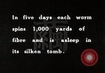 Image of Silk Production in Japan Japan, 1934, second 62 stock footage video 65675025112