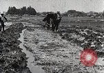 Image of Rice Field Leveling Japan, 1934, second 8 stock footage video 65675025113