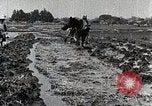 Image of Rice Field Leveling Japan, 1934, second 10 stock footage video 65675025113