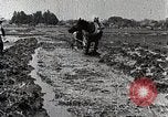 Image of Rice Field Leveling Japan, 1934, second 11 stock footage video 65675025113