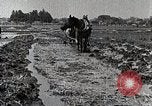 Image of Rice Field Leveling Japan, 1934, second 12 stock footage video 65675025113
