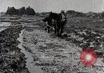 Image of Rice Field Leveling Japan, 1934, second 13 stock footage video 65675025113
