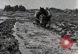 Image of Rice Field Leveling Japan, 1934, second 14 stock footage video 65675025113