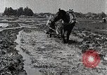 Image of Rice Field Leveling Japan, 1934, second 16 stock footage video 65675025113