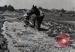 Image of Rice Field Leveling Japan, 1934, second 17 stock footage video 65675025113