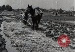 Image of Rice Field Leveling Japan, 1934, second 18 stock footage video 65675025113