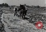 Image of Rice Field Leveling Japan, 1934, second 20 stock footage video 65675025113