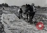 Image of Rice Field Leveling Japan, 1934, second 23 stock footage video 65675025113