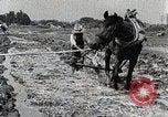 Image of Rice Field Leveling Japan, 1934, second 24 stock footage video 65675025113