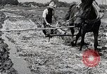 Image of Rice Field Leveling Japan, 1934, second 25 stock footage video 65675025113