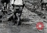 Image of Rice Field Leveling Japan, 1934, second 27 stock footage video 65675025113