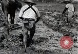 Image of Rice Field Leveling Japan, 1934, second 28 stock footage video 65675025113