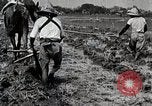 Image of Rice Field Leveling Japan, 1934, second 29 stock footage video 65675025113