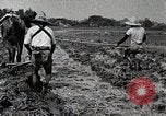 Image of Rice Field Leveling Japan, 1934, second 30 stock footage video 65675025113