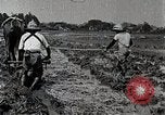 Image of Rice Field Leveling Japan, 1934, second 31 stock footage video 65675025113
