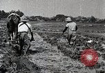 Image of Rice Field Leveling Japan, 1934, second 32 stock footage video 65675025113