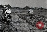 Image of Rice Field Leveling Japan, 1934, second 33 stock footage video 65675025113