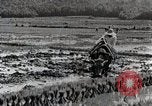 Image of Rice Field Leveling Japan, 1934, second 34 stock footage video 65675025113