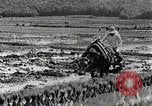 Image of Rice Field Leveling Japan, 1934, second 35 stock footage video 65675025113