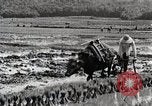Image of Rice Field Leveling Japan, 1934, second 36 stock footage video 65675025113