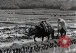 Image of Rice Field Leveling Japan, 1934, second 37 stock footage video 65675025113