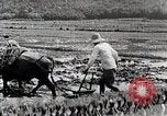 Image of Rice Field Leveling Japan, 1934, second 45 stock footage video 65675025113