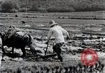 Image of Rice Field Leveling Japan, 1934, second 46 stock footage video 65675025113
