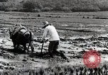 Image of Rice Field Leveling Japan, 1934, second 47 stock footage video 65675025113