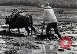 Image of Rice Field Leveling Japan, 1934, second 59 stock footage video 65675025113