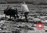 Image of Rice Field Leveling Japan, 1934, second 61 stock footage video 65675025113