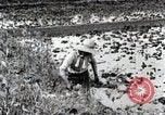 Image of Rice Field Fertilization Japan, 1934, second 23 stock footage video 65675025114