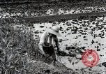 Image of Rice Field Fertilization Japan, 1934, second 33 stock footage video 65675025114