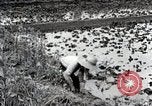 Image of Rice Field Fertilization Japan, 1934, second 34 stock footage video 65675025114