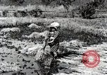 Image of Rice Field Fertilization Japan, 1934, second 43 stock footage video 65675025114