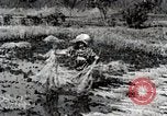 Image of Rice Field Fertilization Japan, 1934, second 44 stock footage video 65675025114