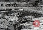 Image of Rice Field Fertilization Japan, 1934, second 46 stock footage video 65675025114