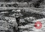 Image of Rice Field Fertilization Japan, 1934, second 51 stock footage video 65675025114