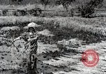 Image of Rice Field Fertilization Japan, 1934, second 54 stock footage video 65675025114