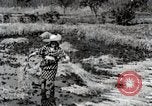 Image of Rice Field Fertilization Japan, 1934, second 55 stock footage video 65675025114