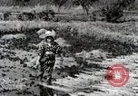 Image of Rice Field Fertilization Japan, 1934, second 57 stock footage video 65675025114