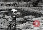 Image of Rice Field Fertilization Japan, 1934, second 58 stock footage video 65675025114