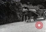 Image of human waste Japan, 1934, second 18 stock footage video 65675025115