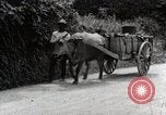 Image of human waste Japan, 1934, second 19 stock footage video 65675025115