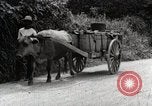 Image of human waste Japan, 1934, second 20 stock footage video 65675025115