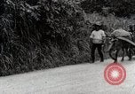 Image of human waste Japan, 1934, second 43 stock footage video 65675025115