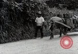 Image of human waste Japan, 1934, second 45 stock footage video 65675025115